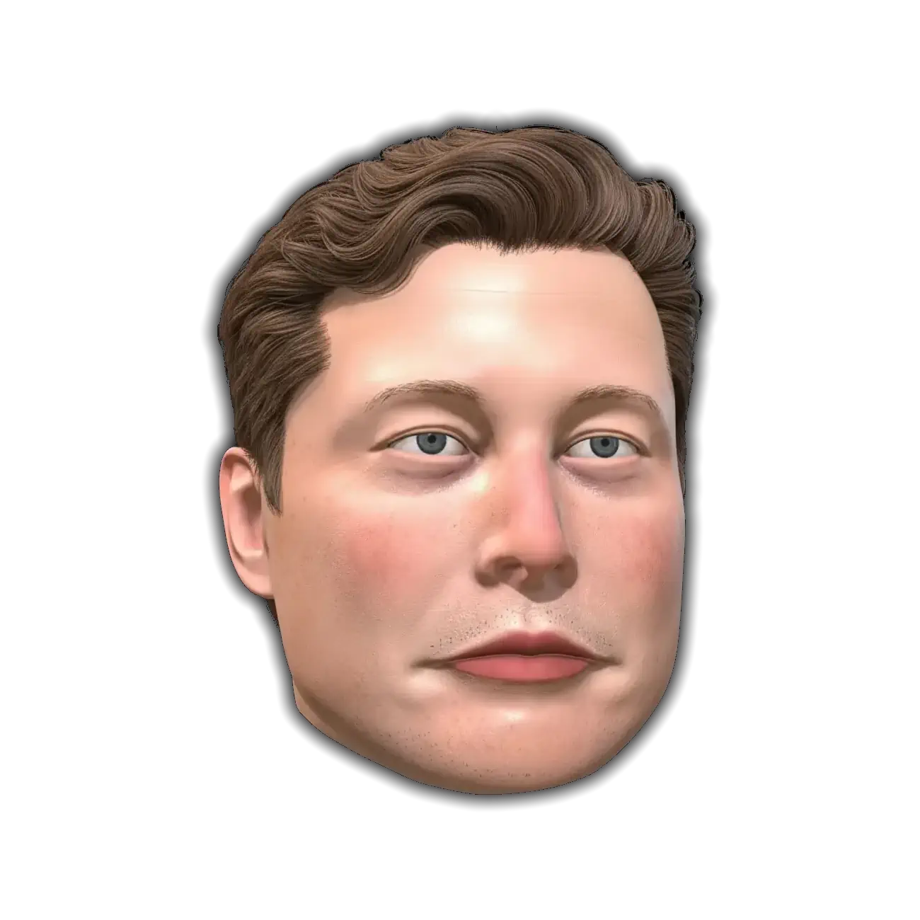You Are Elon